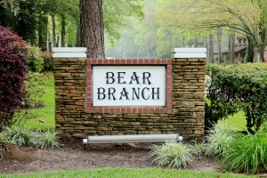 Bear Branch Sign